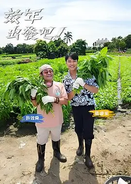 乘风破浪的姐姐 第6季 综艺 2025 女团